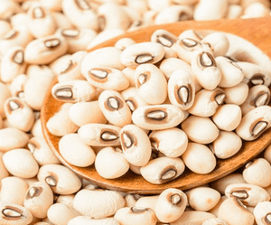 white beans Seed