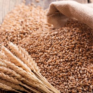 Bulk Wheat Trading