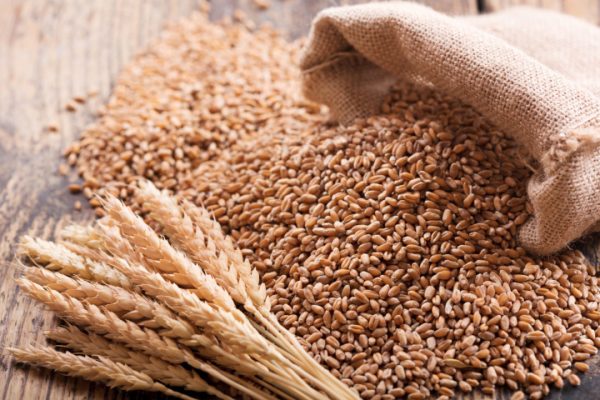 Bulk Wheat Trading