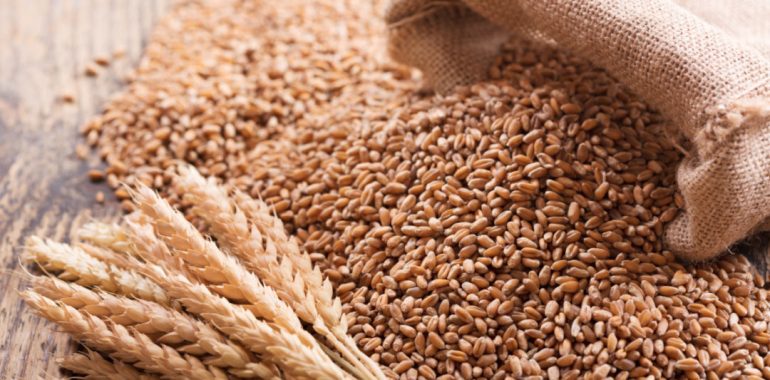 Bulk Wheat Trading